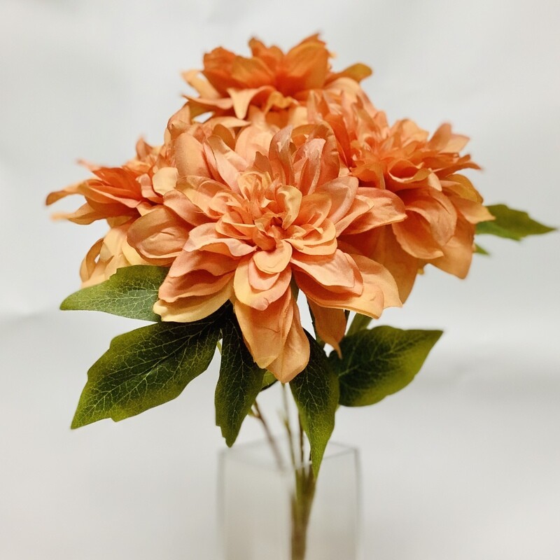 Dahlia x5 - ORANGE