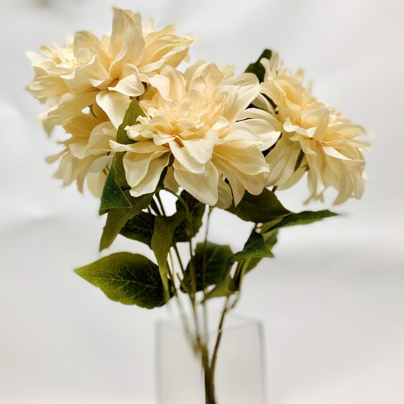 Dahlia x5 - BEIGE