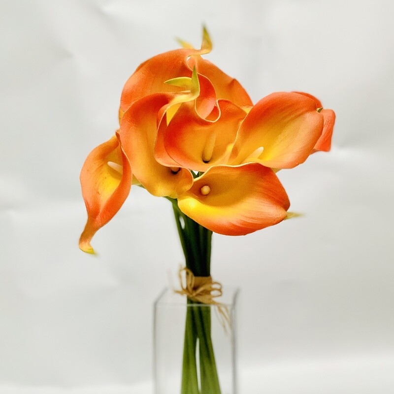 14” Calla Lily Bundle -OR