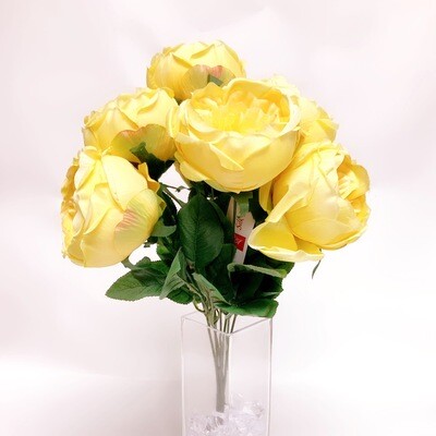 Cabbage Rose x7 - YELLOW