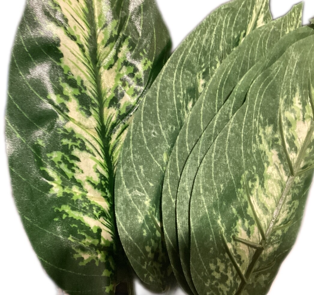 Dieffenbachia Leaf Bush x9
