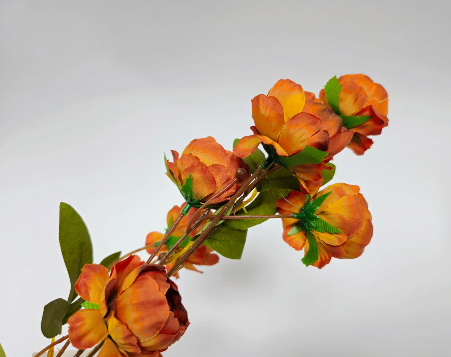Mini Peony x6
