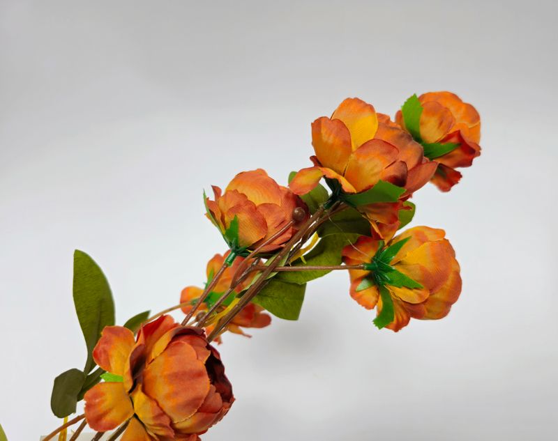 Mini Peony x6