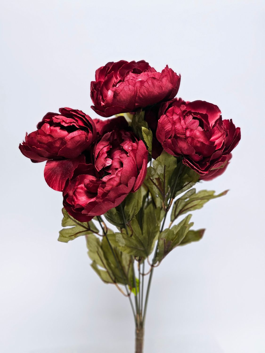 Peony Bush x 7 H20 - BG