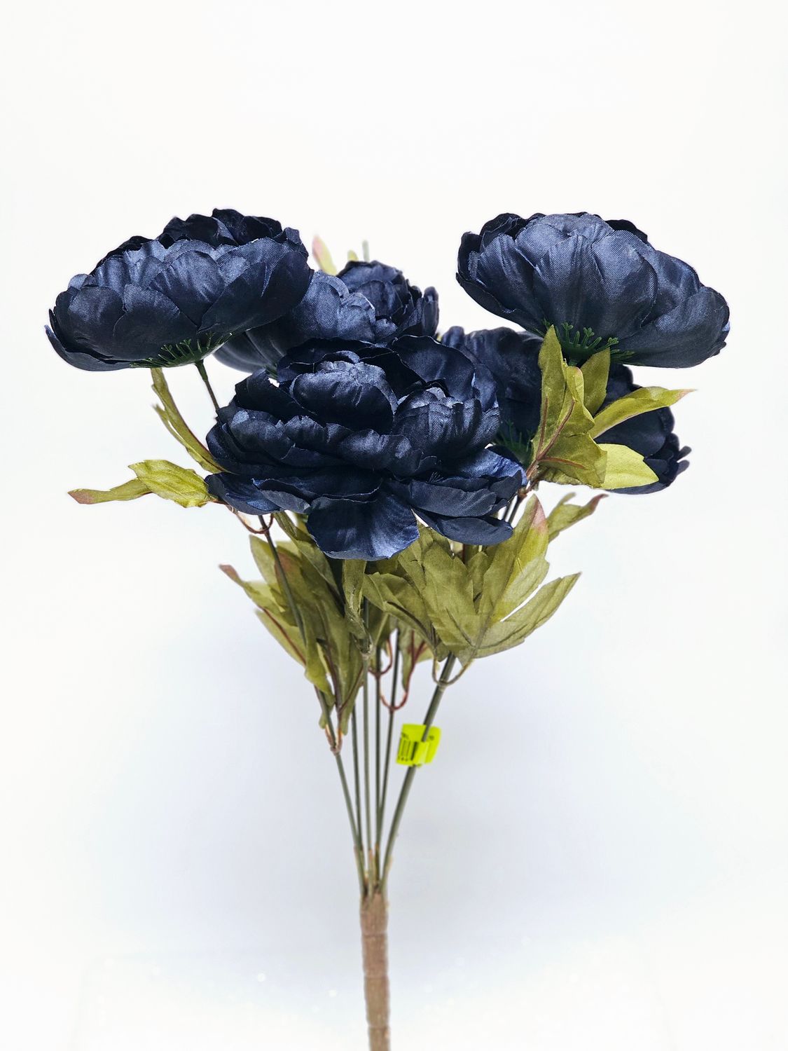 Peony Bush x 7 H20 - NYBL