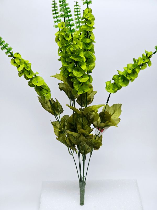 Satin Bell of Ireland 29”