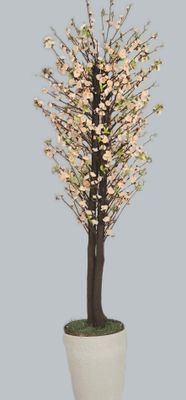 Blooming Cherry Blossom Tree - PEACH