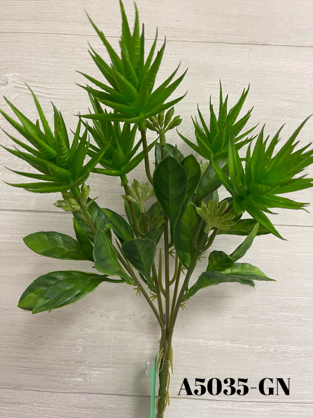 CACTUS BUSH x5 - GN