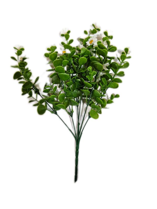 Filler Bush w flower White