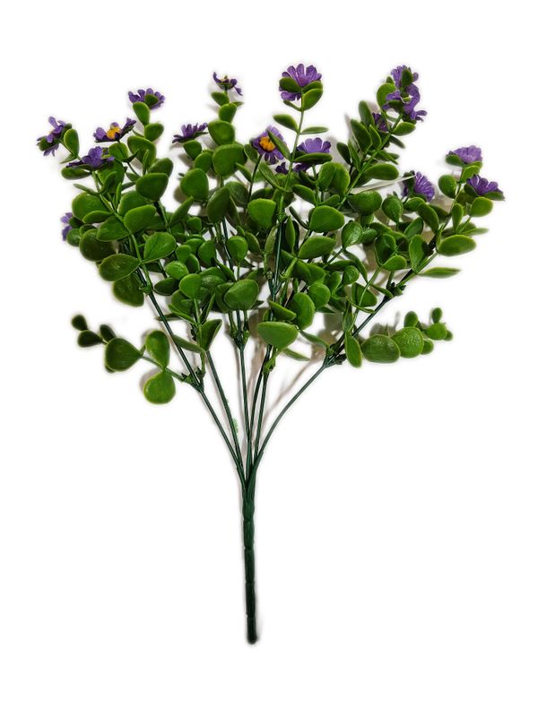 Filler Bush w flower Purple