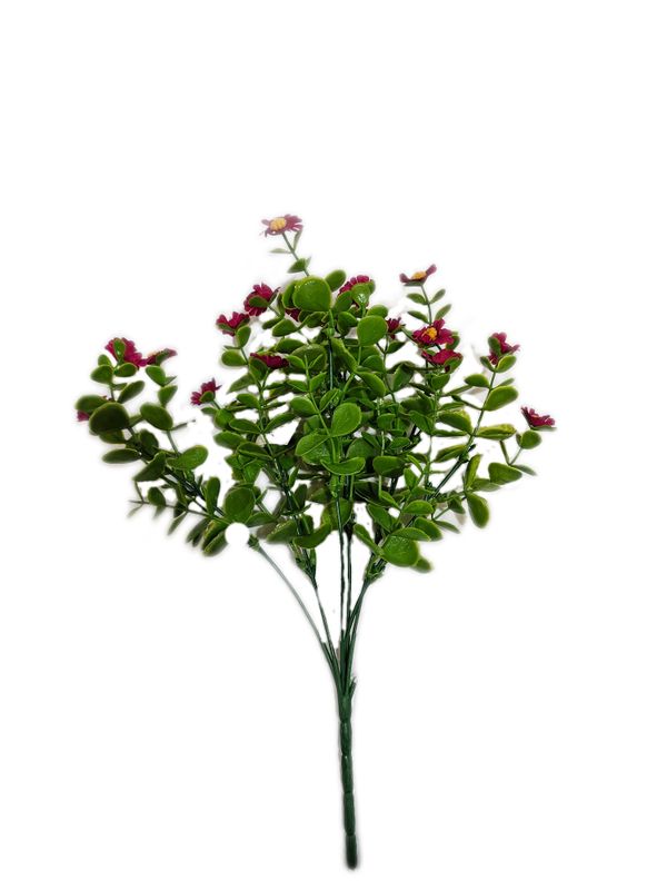 Filler Bush w flower Red
