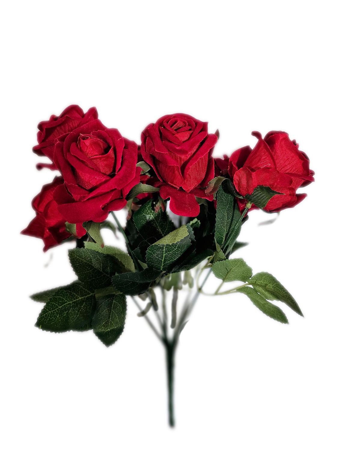 English Rose Bush x8 - RED
