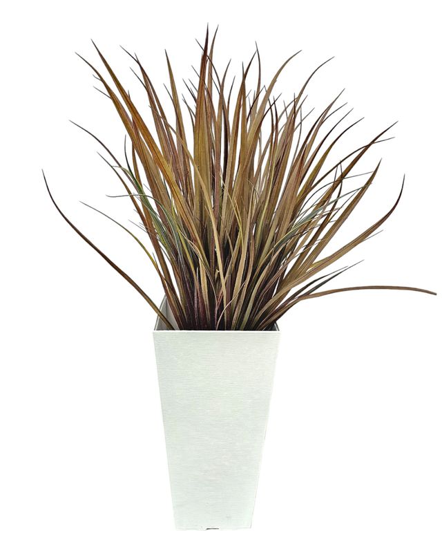 Long grass / basket