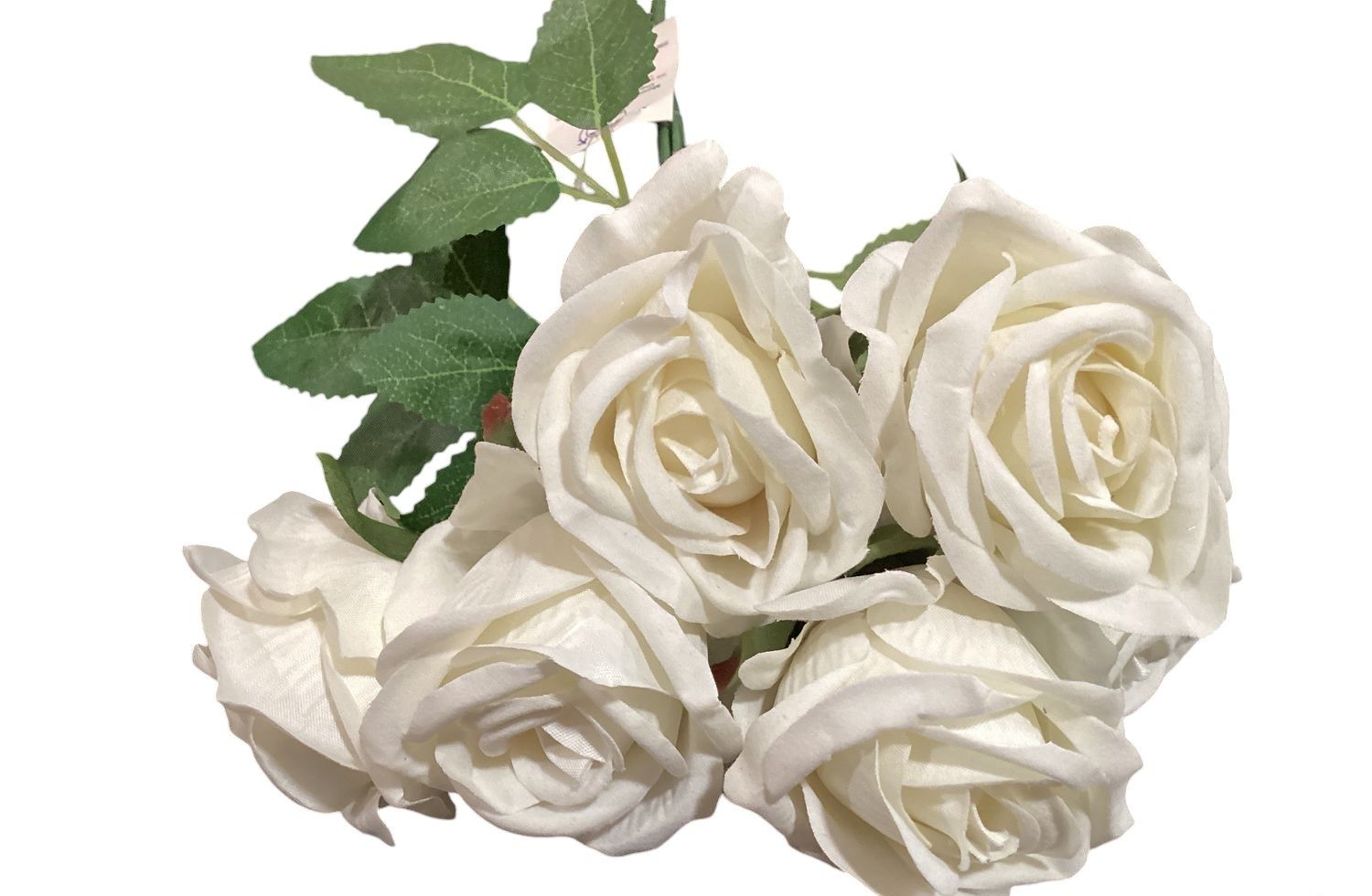 Small Rose Bush x7 - WH