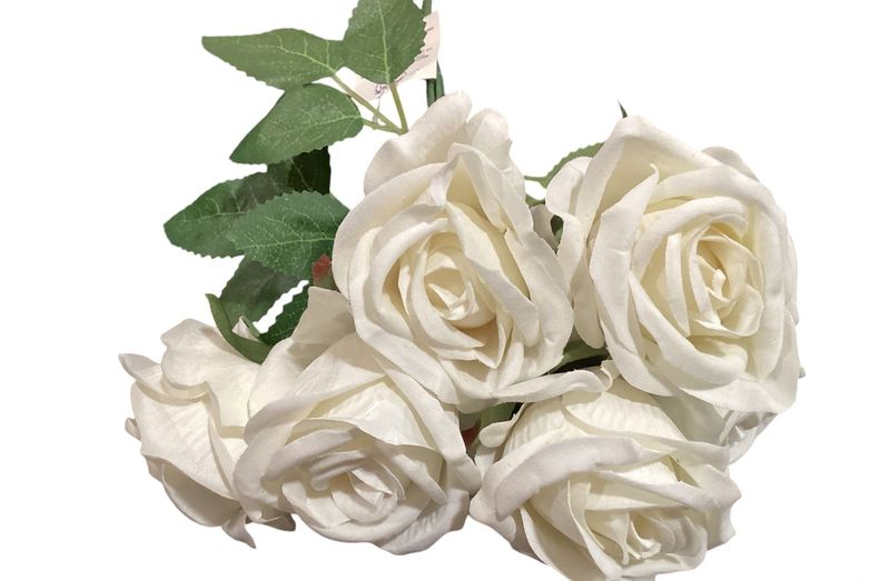Small Rose Bush x7 - WH