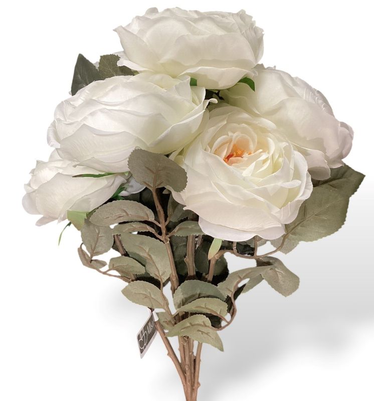 18&quot;ENGLISH GARDEN ROSE BUSH X7