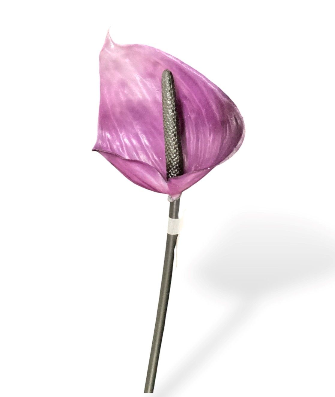 23.6&quot;ANTHURIUM SPRAY PU