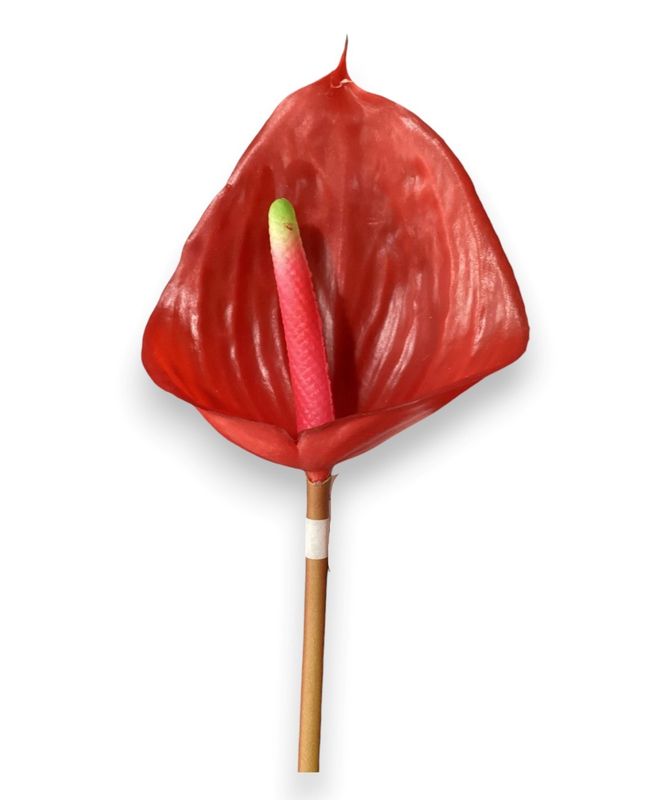23.6&quot;ANTHURIUM SPRAY RE