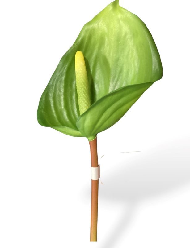 23.6&quot;ANTHURIUM SPRAY GR