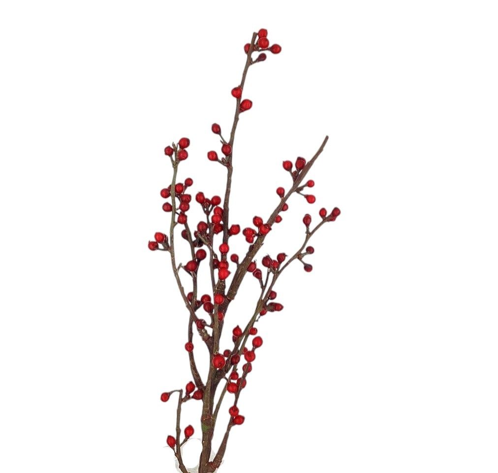 29” Lexi Spray Red