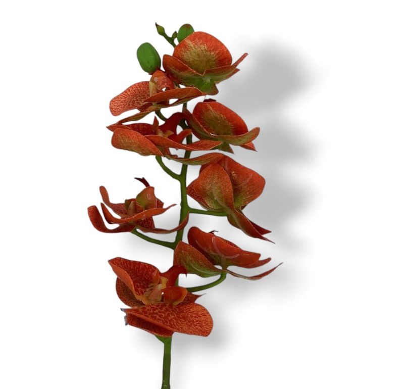28&quot;PHALAENOPSIS SPRAY OR