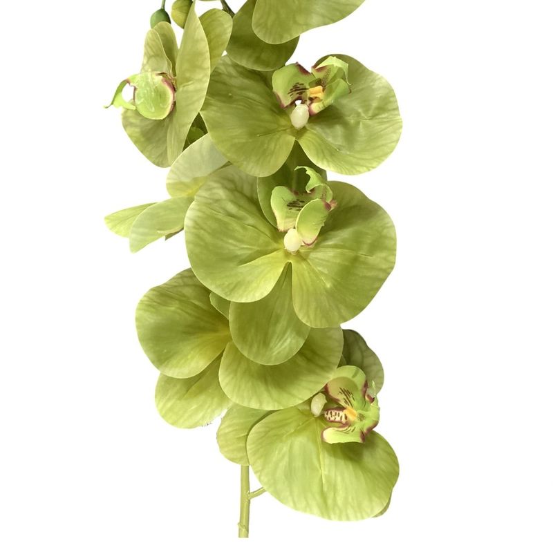 42&quot;PHALAENOPSIS ORCHID SPRAY