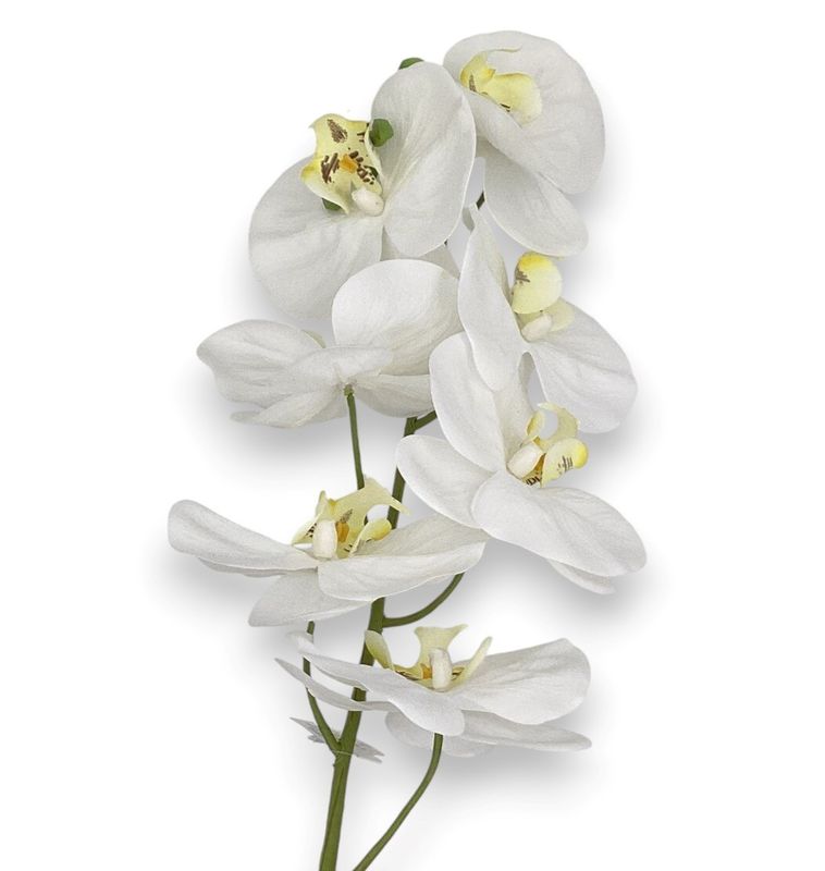 42&quot;PHALAENOPSIS ORCHID SPRAY white