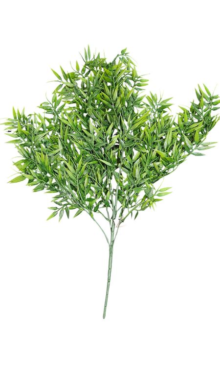 Bamboo Bush