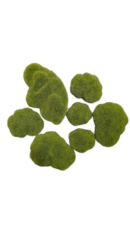 Stone Moss 7 pcs