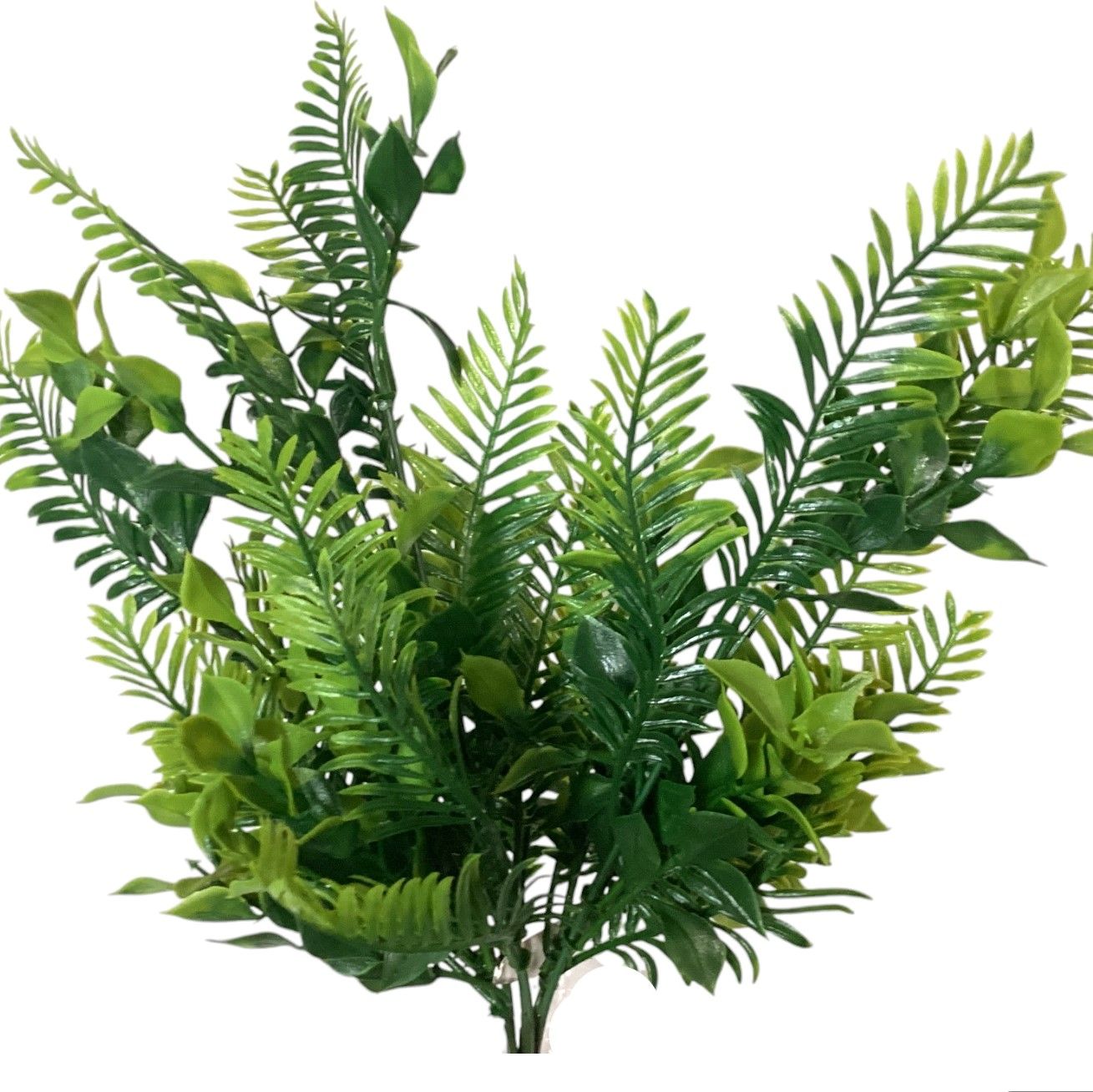 Fern w/ Greenery Bush Mix