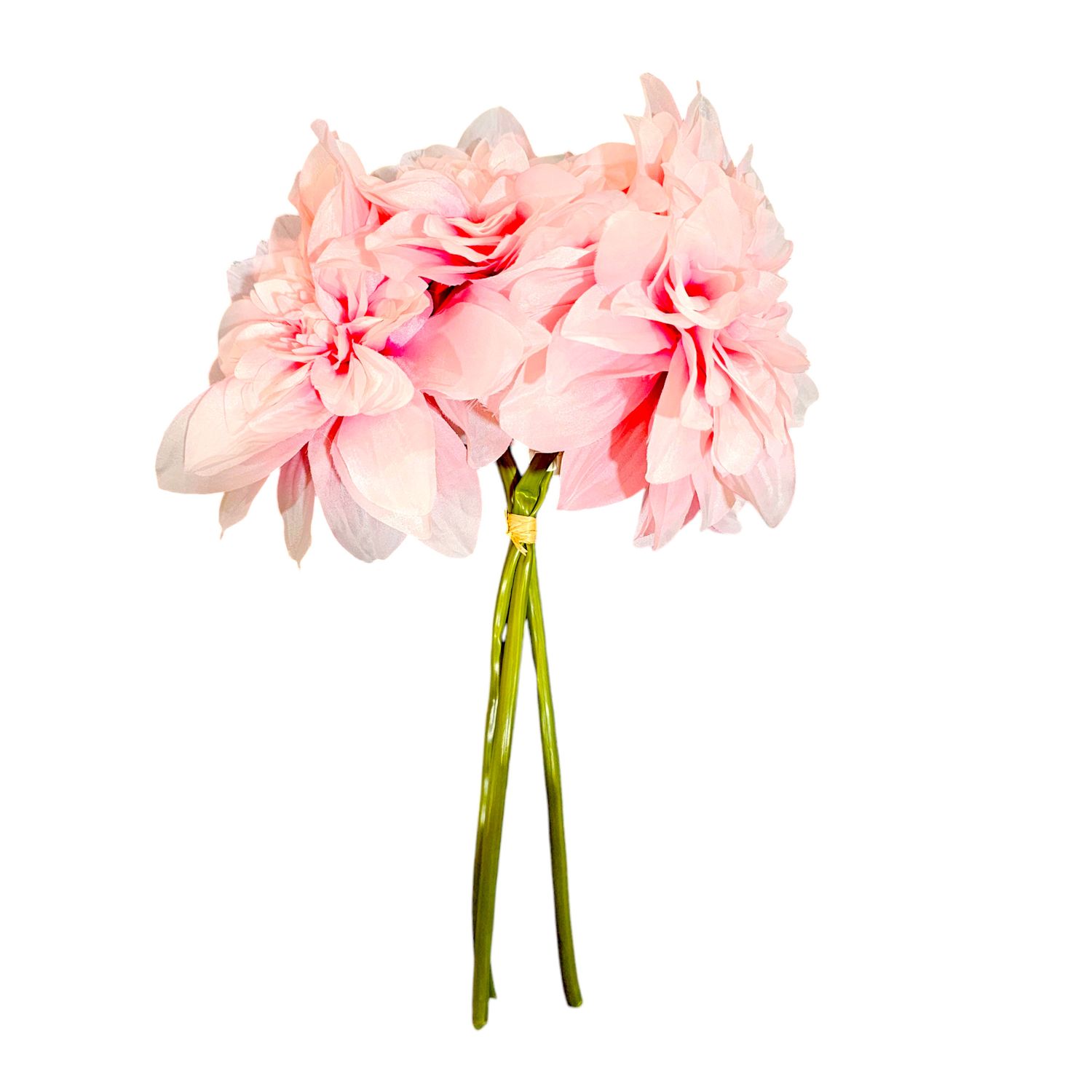 Dahlia Bundle - PINK
