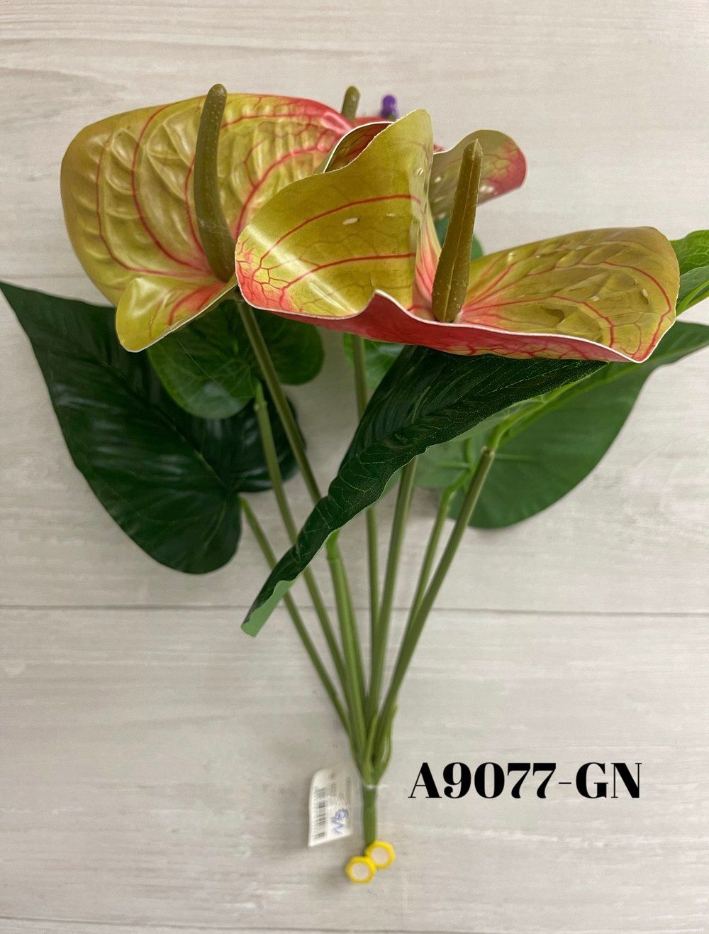 Anthurium Bush x9 GN