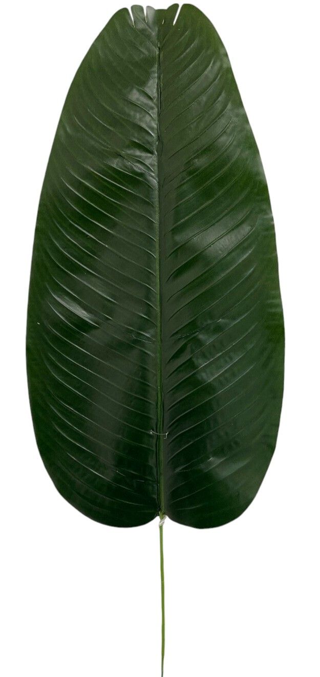 Banana Leaf G009 - Single