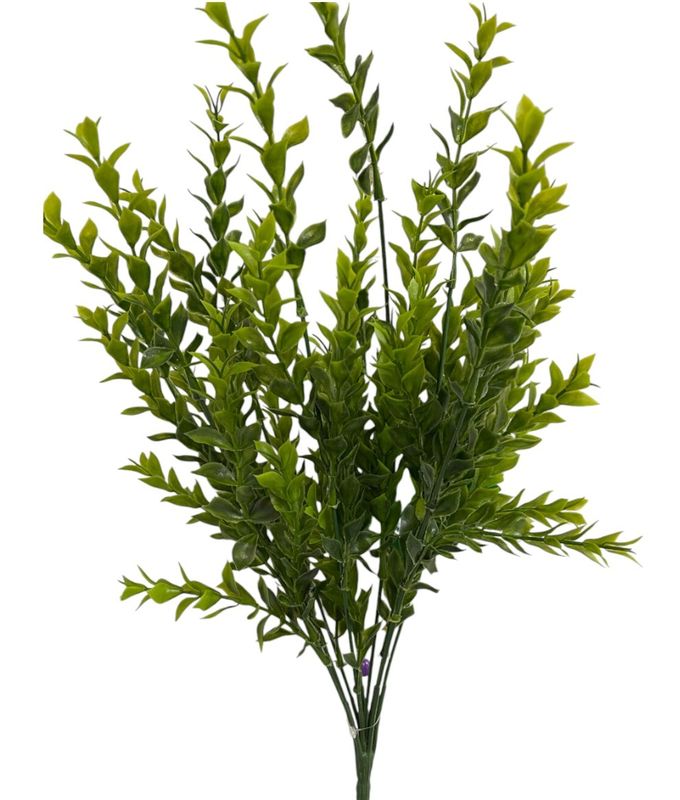 Boxwood Bush A9004