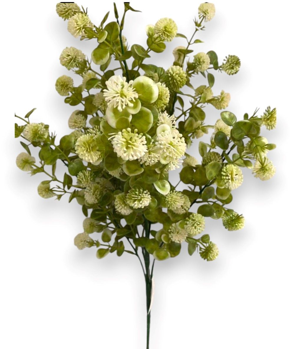 Boxwood w/ Ball Accent Bush x6  GN