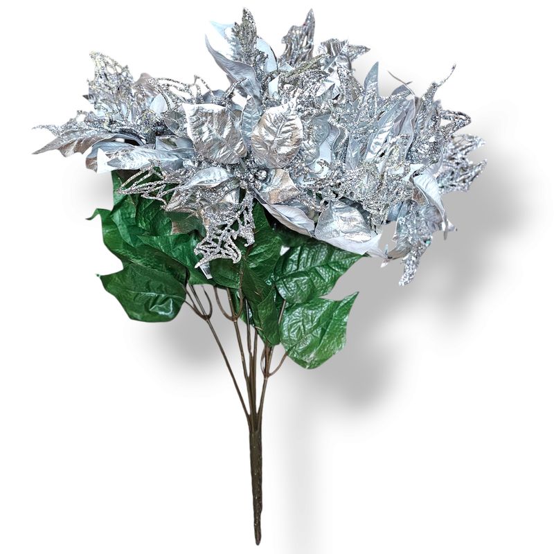 Poinsettia Silver
