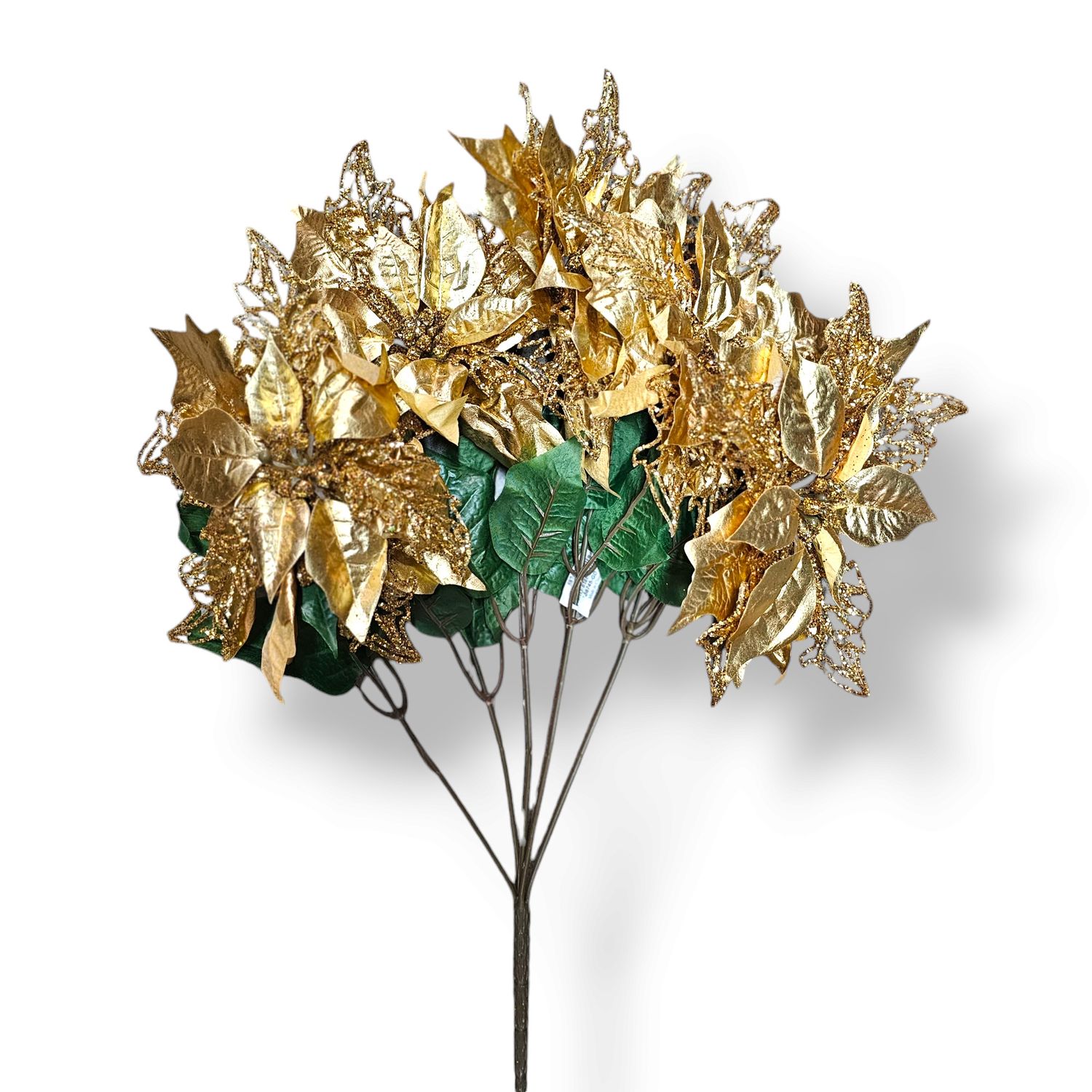 Poinsettia Gold