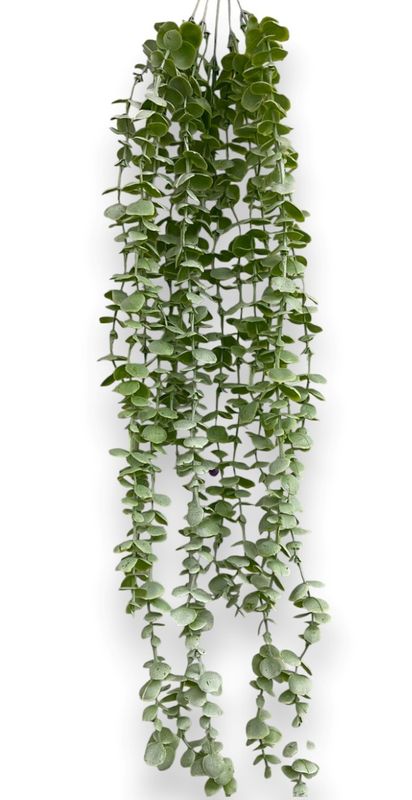 Hanging Grass x5 -GN