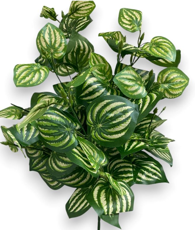 Green Leaf Spray 2 x18