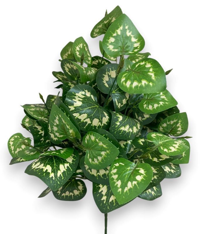 Green Leaf Spray 1 x18