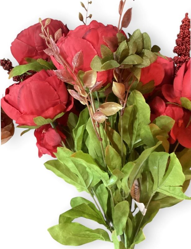 PEONY BUSH X13 RD