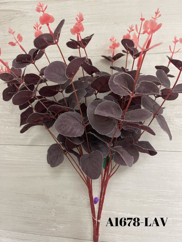 Eucalyptus Bush x 16 - LAV - 50%OFF