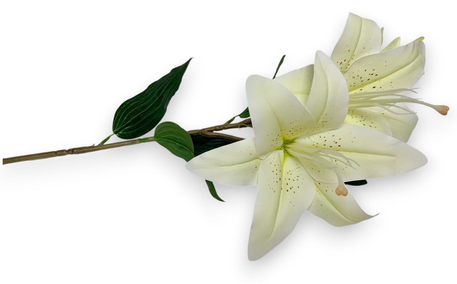 Easter Lily x3- CR