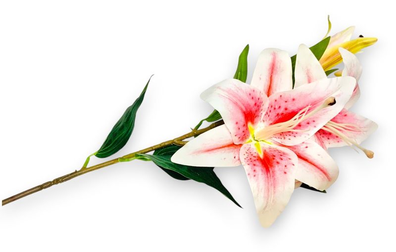 Easter Lily x3- PK