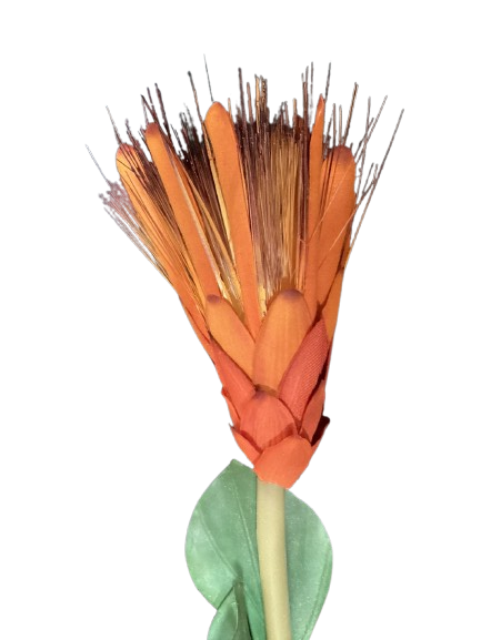 24&quot; STAR PROTEA RUST/ORANGE