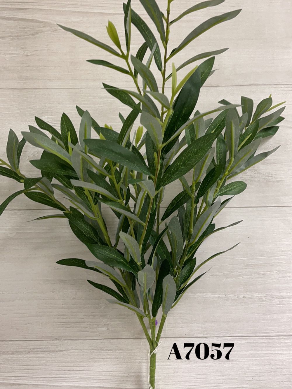 Laurel Leaf Bush x7
