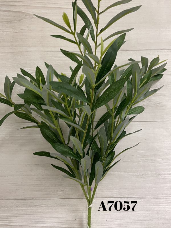 Laurel Leaf Bush x7