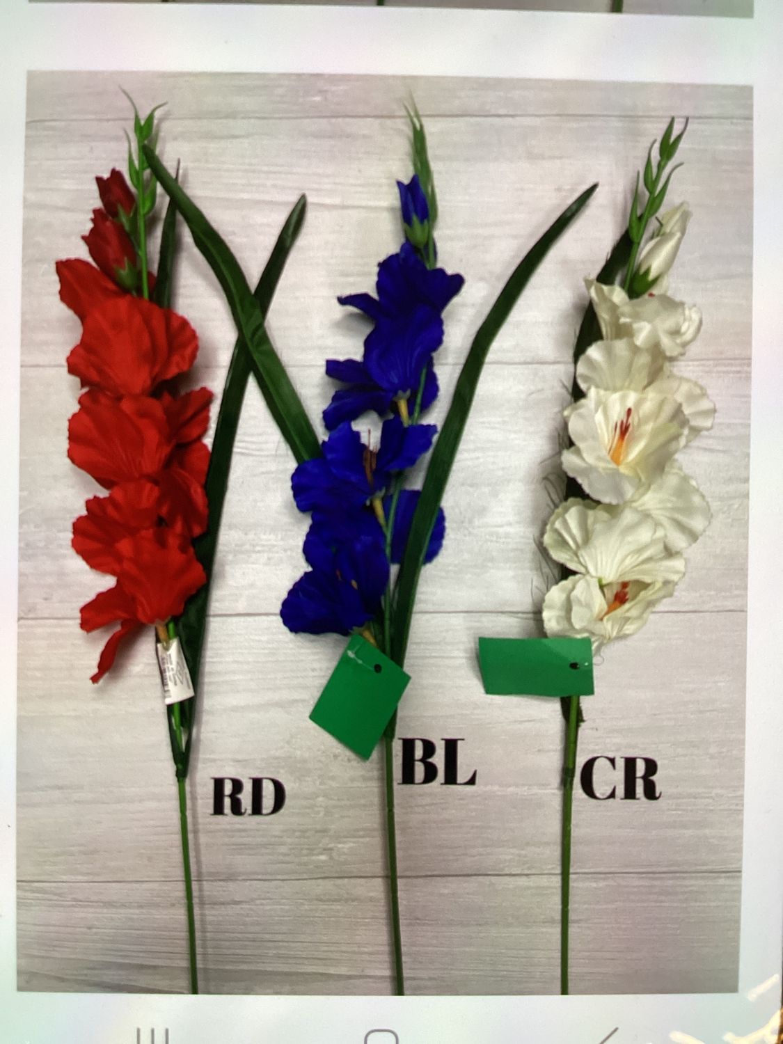 Gladiola Spray - BL