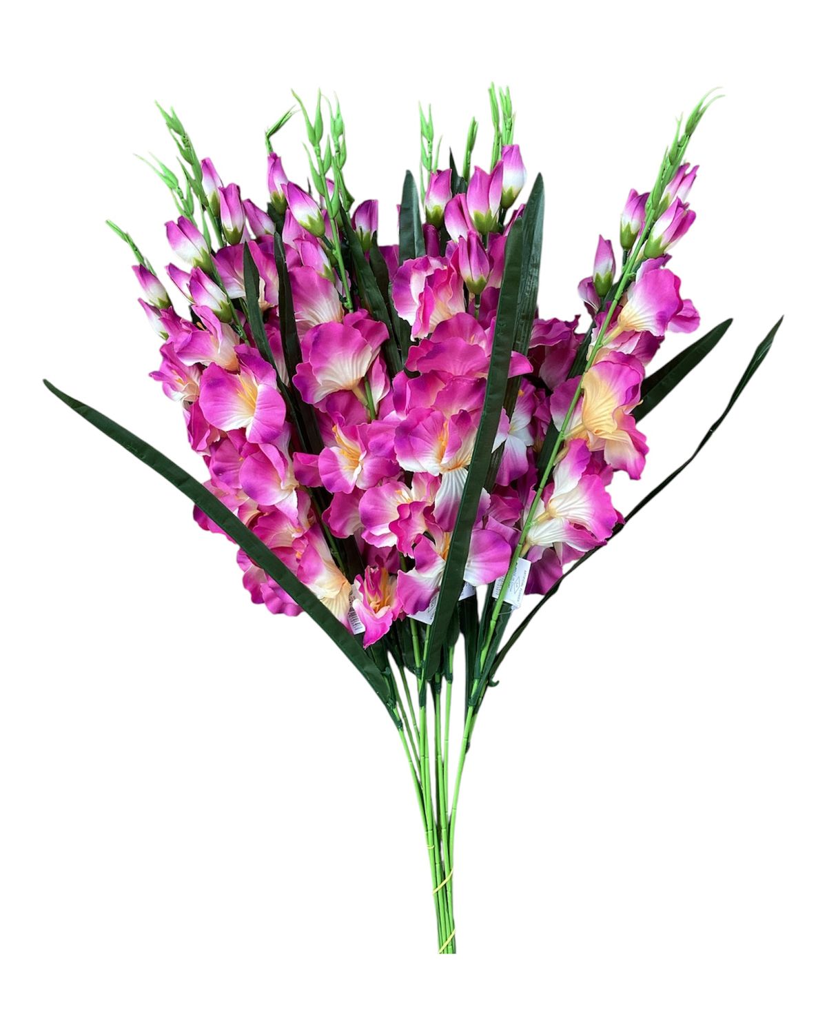 Gladiola Spray - PUR/CR