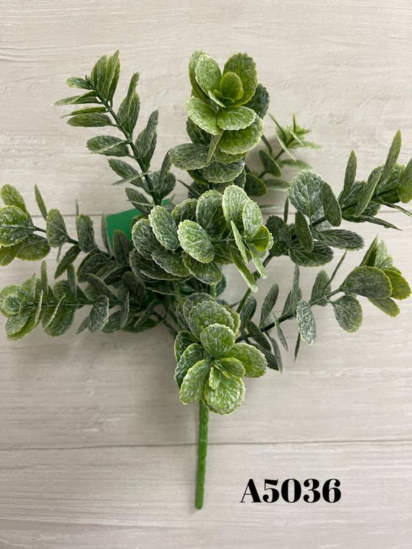 Frosted Round Leaf Bush x5